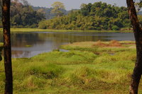 Cát Tiên crocodile lake