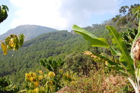 Đà Lạt trekking