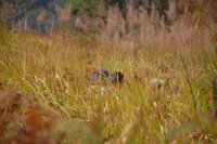 Đà Lạt trekking