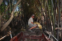 Navigating the Mekong