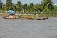 Mekong coconut boat