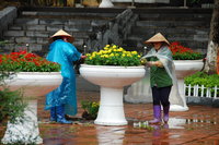 Rain in Hanoi