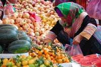 Fruit & veg market