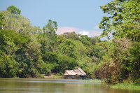 Muyuna Lodge, Iquitos