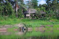 Local Amazonians