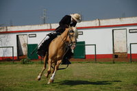 Horse Prancing, Trujillo