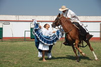 Horse Prancing, Trujillo