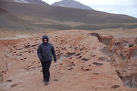 Windswept Bolivia