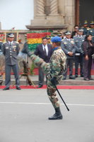 Bolivian Marching