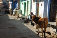 Chittor street scene
