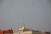 Jaipur kite festival