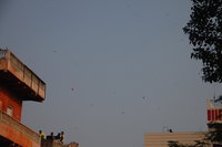 Jaipur kites
