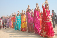 Bikaner camel festival