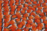 Fish market