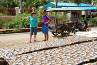 Fish market