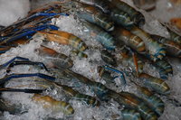Phnom Penh central market