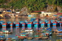 Cát Bà harbour