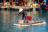 Rowing forwards
