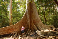 Cát Tiên forest