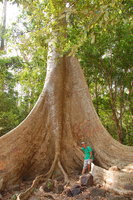 Cát Tiên forest