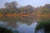 Green Bamboo Lodge
