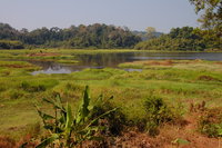 Crocodile Lake