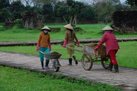 Huế Citadel workers