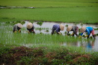 Hội An environs