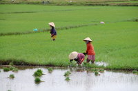 Hội An environs