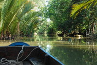 Cần Thơ canals