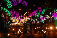 Cần Thơ New Year lights