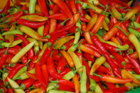 Cần Thơ market