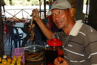 Rice wine with gecko