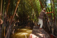 Navigating the Mekong
