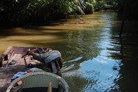 Stuck in the Mekong