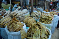 Hanoi street scene