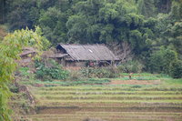 Village life