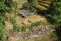 Village house