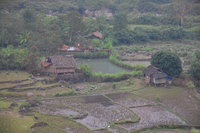 Stilt houses