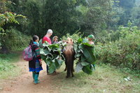 Helping the locals