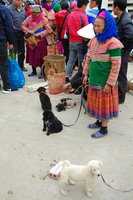 Livestock trader