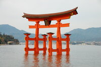 Miyajima Torri