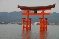 Miyajima Torri
