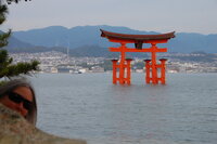 Miyajima Torri