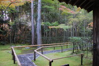 Kōtō-in, Daitoku-ji