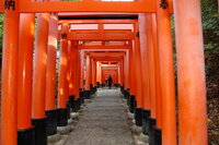 Fushimi-inari