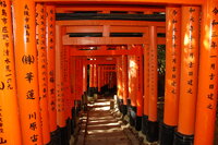 Fushimi-inari