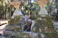 Rokuen Park Nara