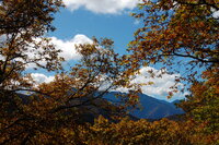 Nakasendō Trail View