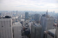 View from Govt Building